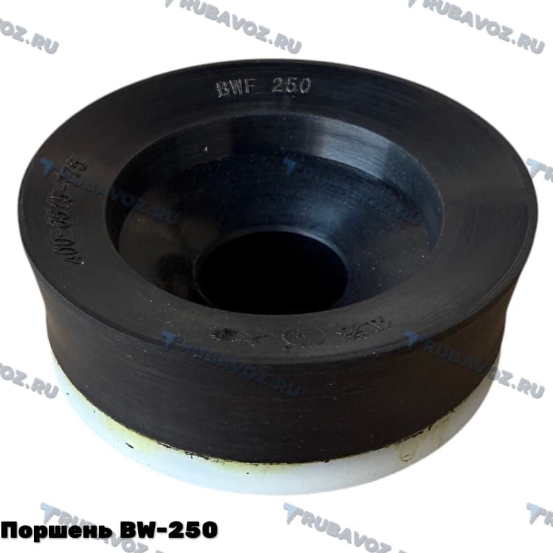 Поршень BW-250